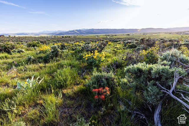 1235 E Hoyt Peak Ranch Rd 5&6, Marion, UT 84036