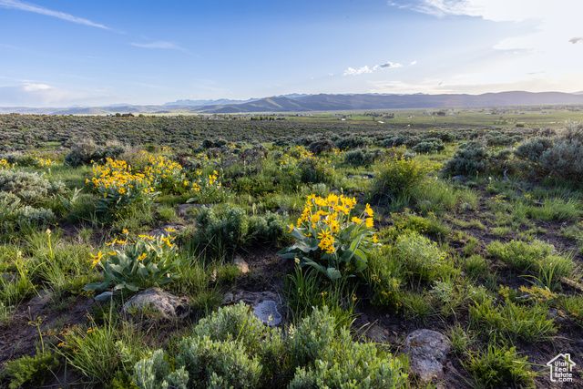 1235 E Hoyt Peak Ranch Rd 5&6, Marion, UT 84036