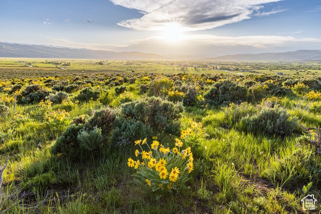 1235 E Hoyt Peak Ranch Rd 5&6, Marion, UT 84036