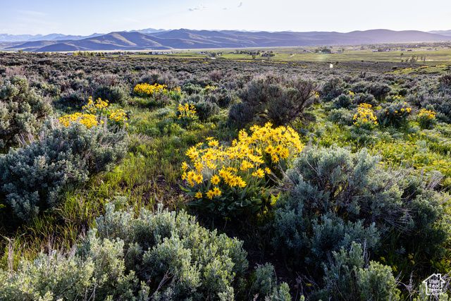 1235 E Hoyt Peak Ranch Rd 5&6, Marion, UT 84036