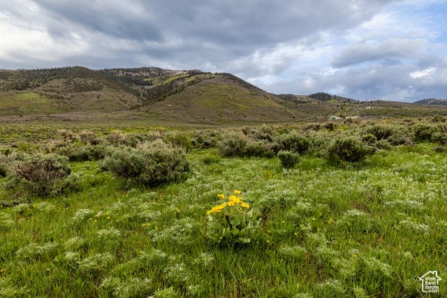 1235 E Hoyt Peak Ranch Rd 5&6, Marion, UT 84036