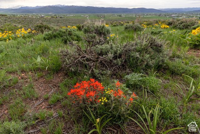 1235 E Hoyt Peak Ranch Rd 5&6, Marion, UT 84036