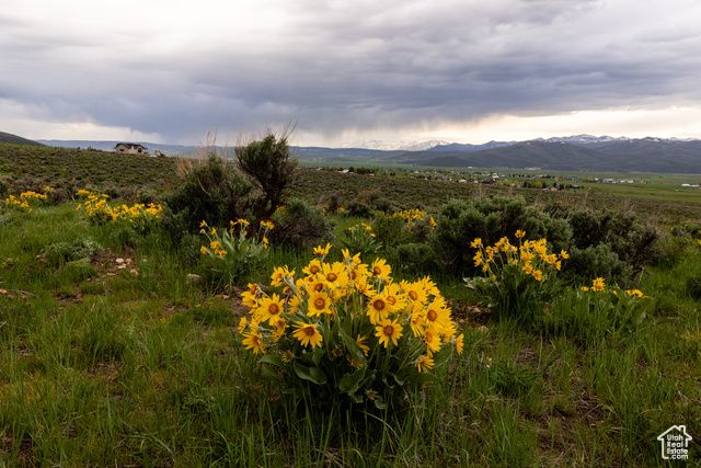 1235 E Hoyt Peak Ranch Rd 5&6, Marion, UT 84036