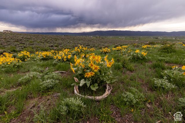1235 E Hoyt Peak Ranch Rd 5&6, Marion, UT 84036