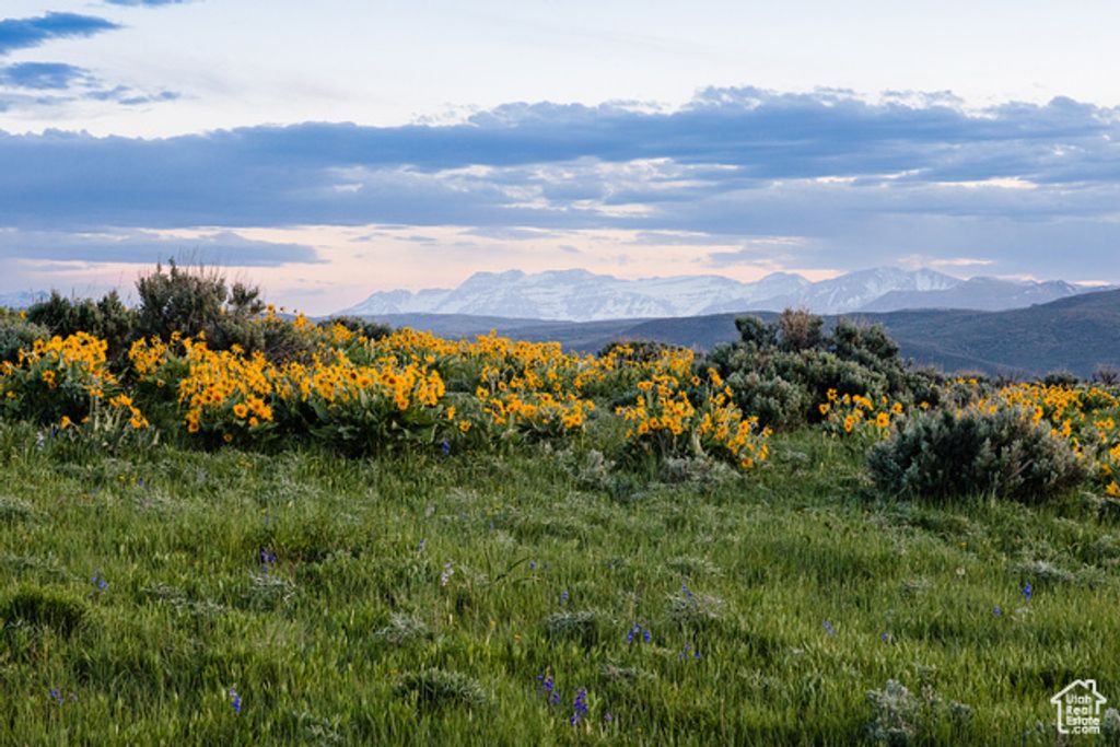 1235 E Hoyt Peak Ranch Rd 5&6, Marion, UT 84036