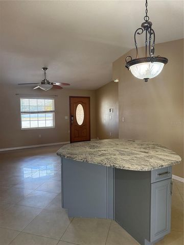 11204 MILLRIDGE DRIVE, Tampa, FL 33625