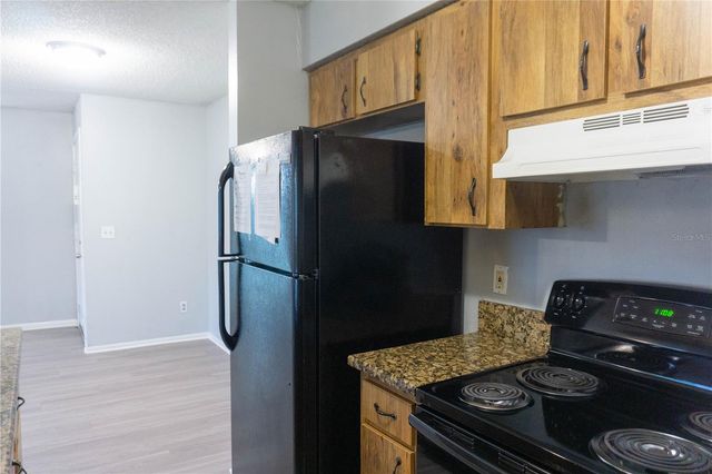 616 GOLDEN RAINTREE PLACE 616, Brandon, FL 33510