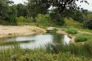 Lot 11 Ridgeway TRL, Johnson City, TX 78636