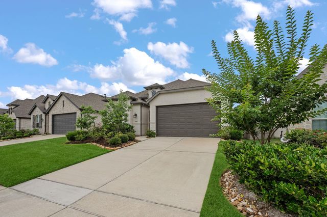 15727 Autumn Sun Court, Conroe, TX 77302
