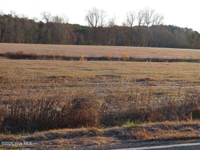 Tract 3 E Raynham Road, Fairmont, NC 28340