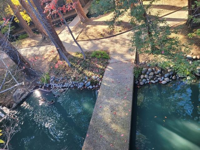 2430 Larkspur Ln #280, Sacramento, CA 95825