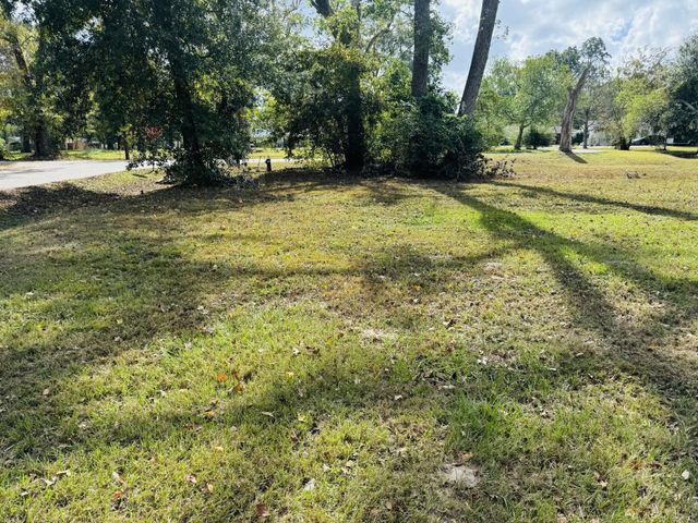 TBD Daisy, Dayton, TX 77535