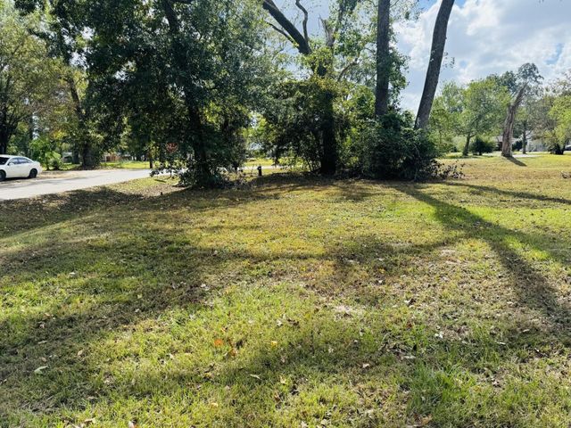TBD Daisy, Dayton, TX 77535