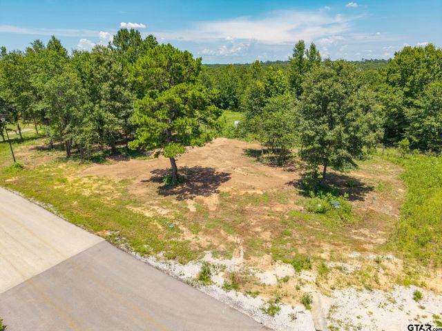 21019 Patriot Circle, Tyler, TX 75703