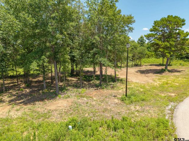 21019 Patriot Circle, Tyler, TX 75703