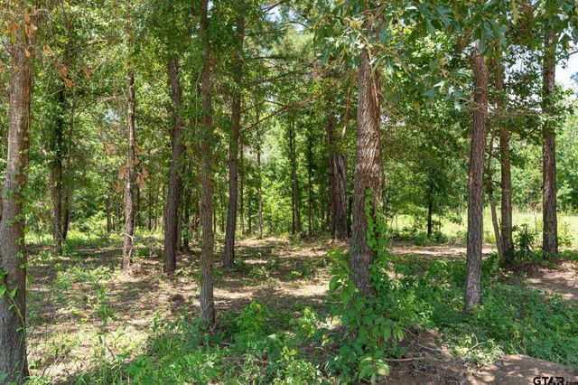21019 Patriot Circle, Tyler, TX 75703