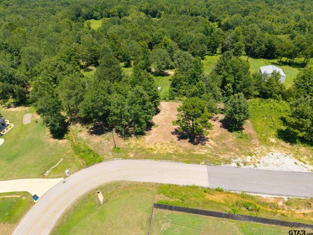 21019 Patriot Circle, Tyler, TX 75703
