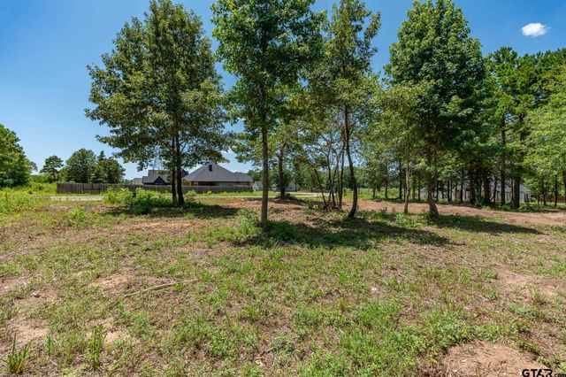 21019 Patriot Circle, Tyler, TX 75703