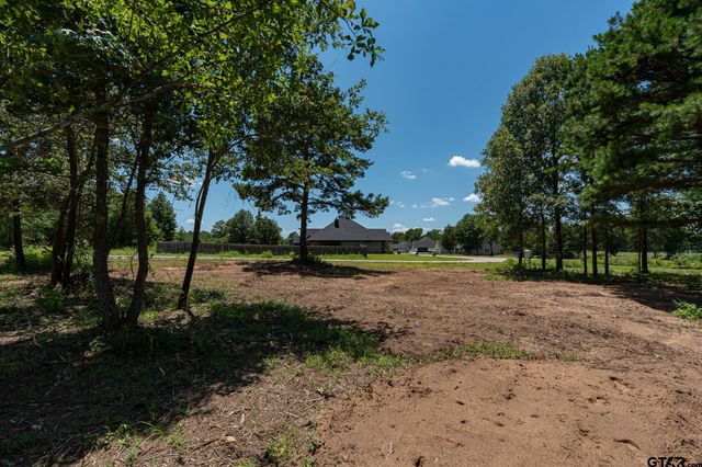 21019 Patriot Circle, Tyler, TX 75703