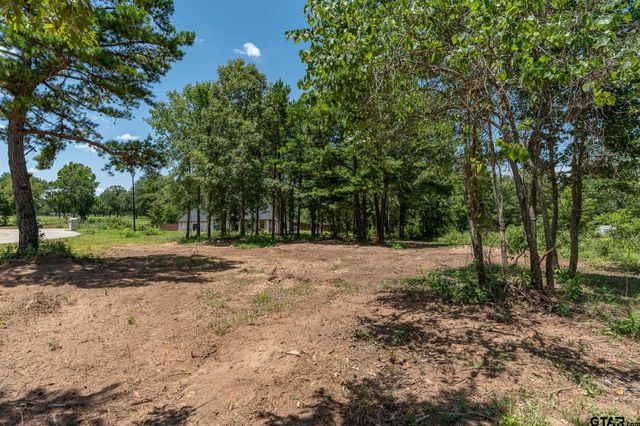 21019 Patriot Circle, Tyler, TX 75703