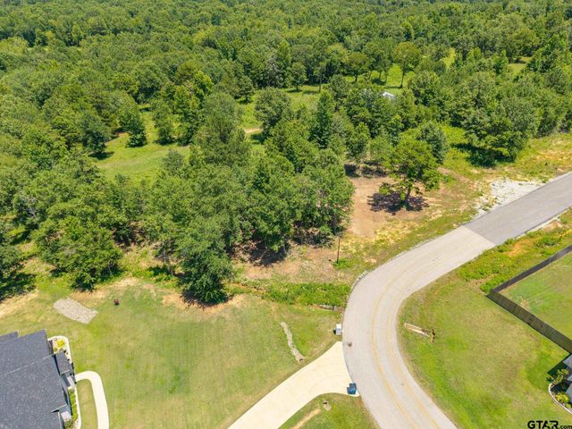 21019 Patriot Circle, Tyler, TX 75703