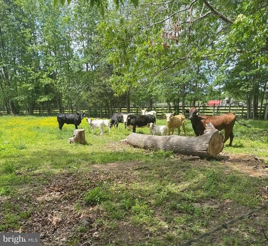 191 MOFFETT LN, Fredericksburg, VA 22406