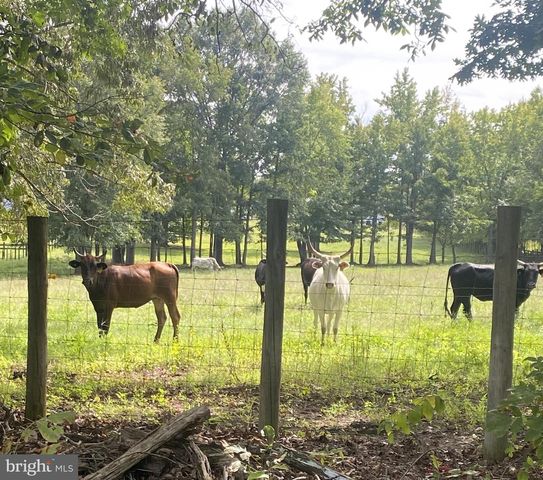191 MOFFETT LN, Fredericksburg, VA 22406