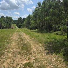 TBD Hammond Road, Livingston, TX 77351