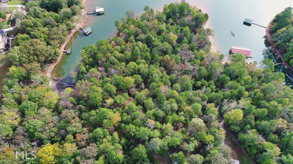 0 Seraph Pointe Road 1, Lavonia, GA 30553 — photo 2