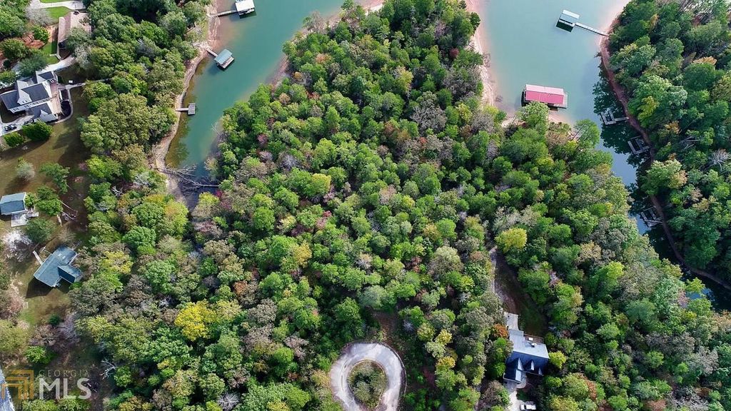 0 Seraph Pointe Road 1, Lavonia, GA 30553 — photo 3