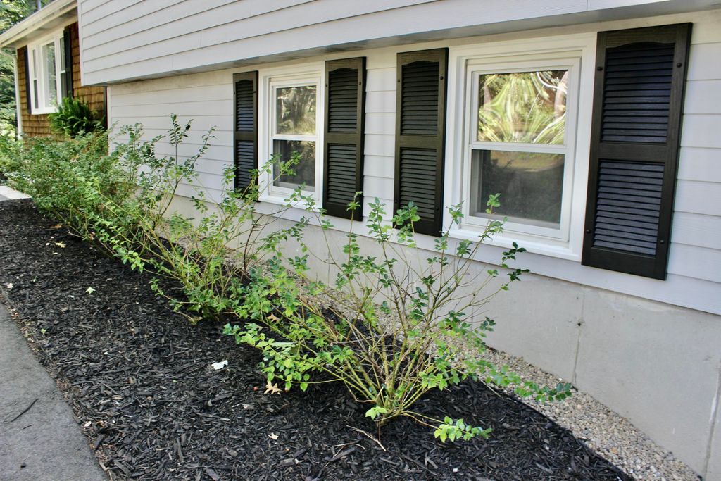 117 Quail Trail, Buxton, ME 04093 — photo 5