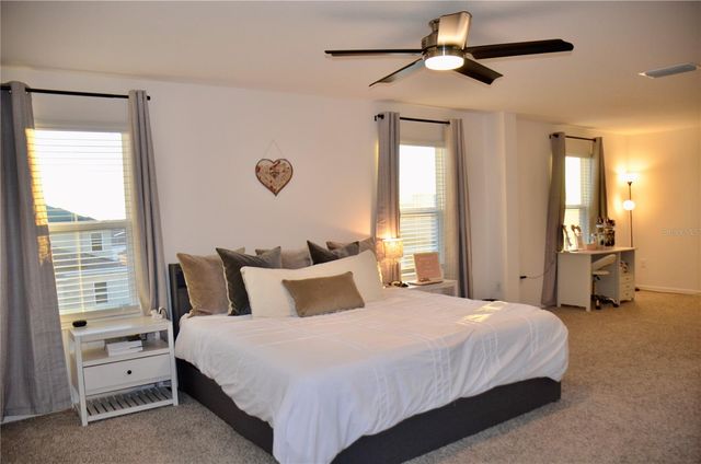 6877 WILSON HAMMOCK AVENUE, Groveland, FL 34736