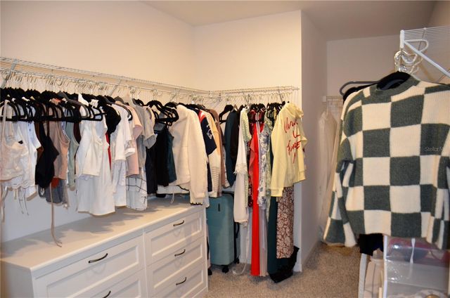 6877 WILSON HAMMOCK AVENUE, Groveland, FL 34736