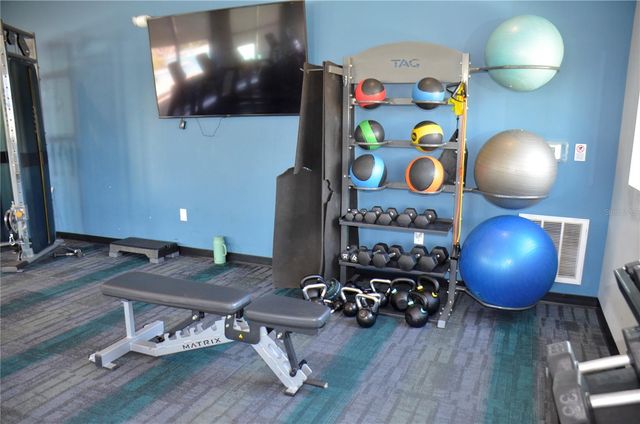 6877 WILSON HAMMOCK AVENUE, Groveland, FL 34736