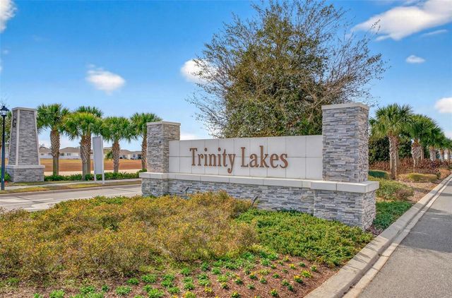 6877 WILSON HAMMOCK AVENUE, Groveland, FL 34736