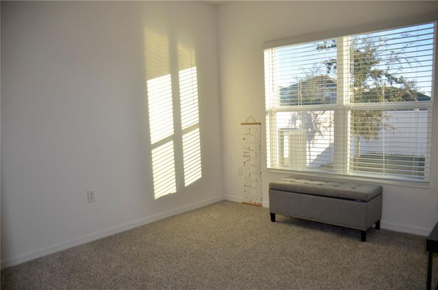 6877 WILSON HAMMOCK AVENUE, Groveland, FL 34736