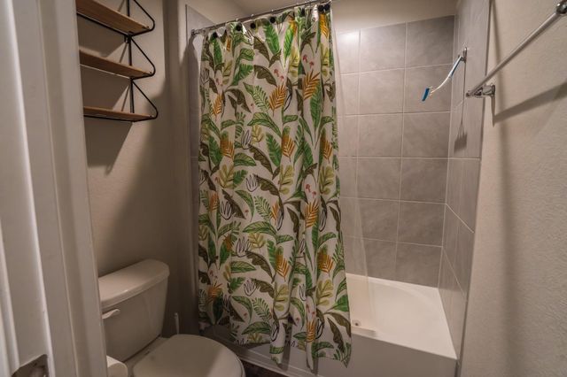 939 Petunia Falls Lane, Rosharon, TX 77583