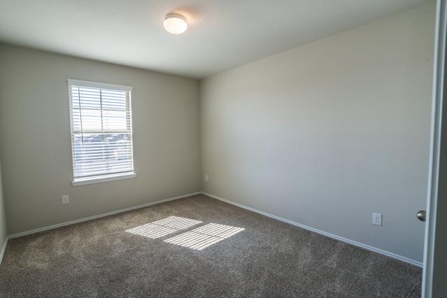 939 Petunia Falls Lane, Rosharon, TX 77583