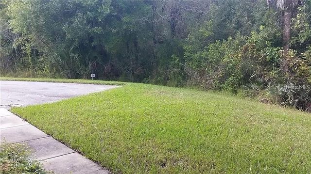 16317 NEWBURY PALMS COURT, Tampa, FL 33647