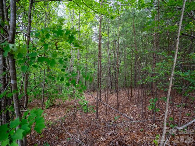 LOT 2009 Deep Gap Farm Road W, Mill Spring, NC 28756