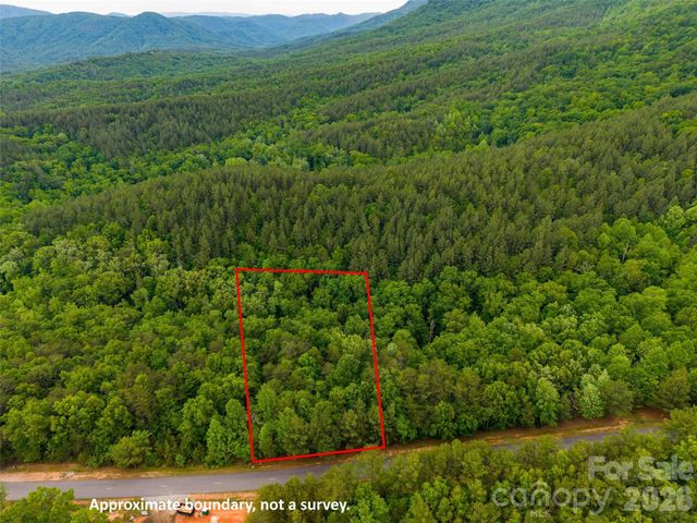 LOT 2009 Deep Gap Farm Road W, Mill Spring, NC 28756