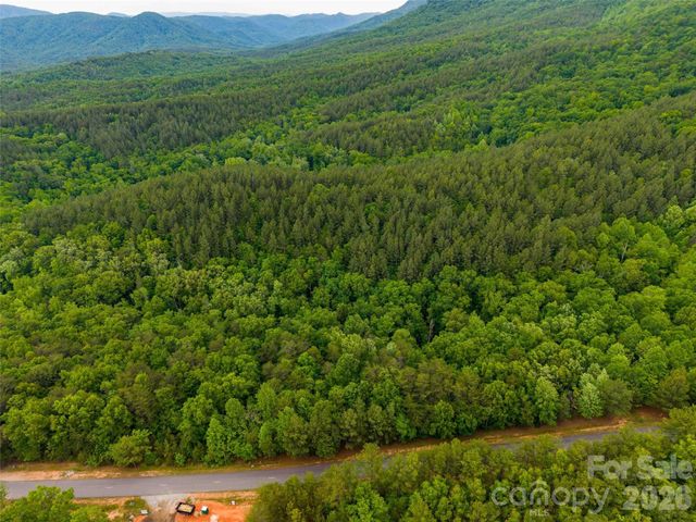 LOT 2009 Deep Gap Farm Road W, Mill Spring, NC 28756