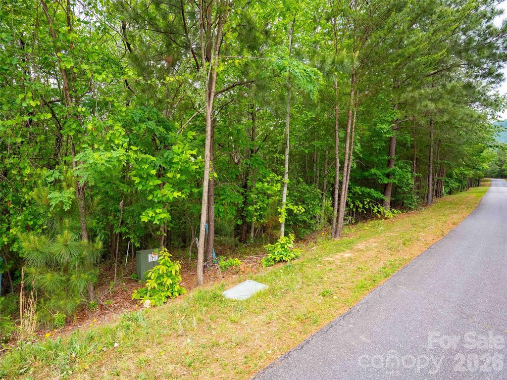 LOT 2009 Deep Gap Farm Road W, Mill Spring, NC 28756
