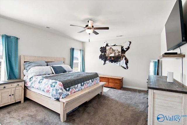 13906 Hill Place Lane, Athens, AL 35611