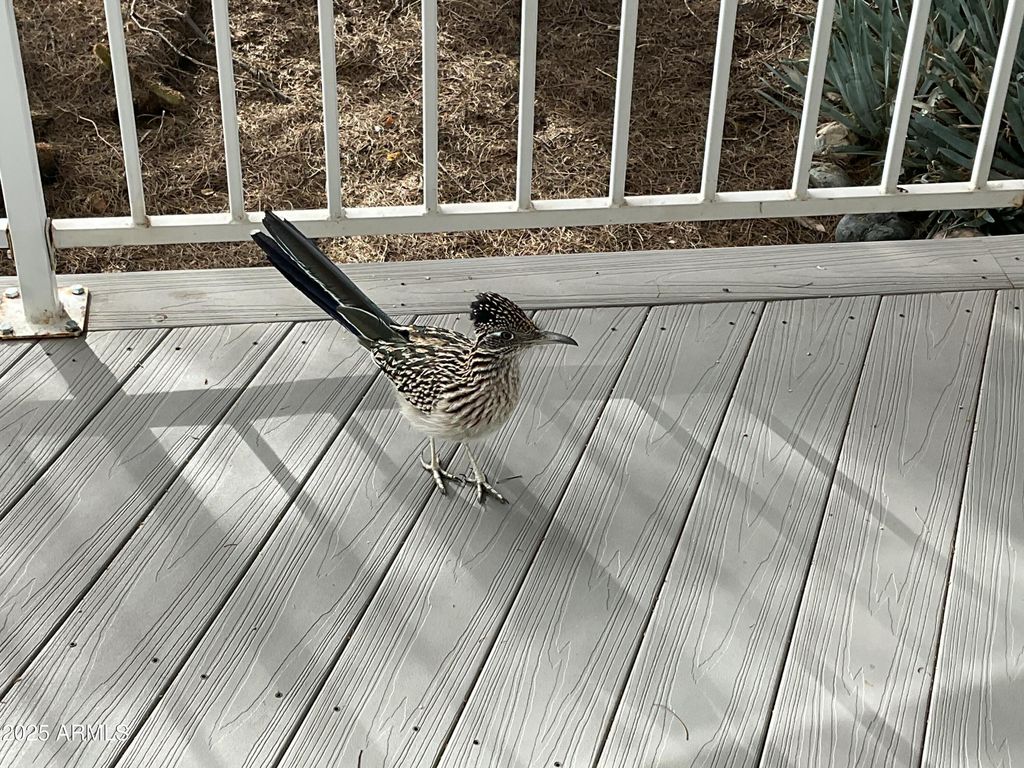 Image 34 of property listing at 17200 W BELL Road 866, Surprise, AZ 85374