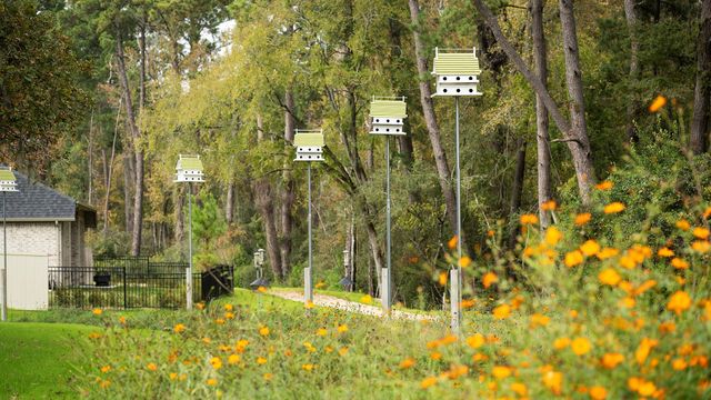 14898 Whistling Duck Lane, Magnolia, TX 77354