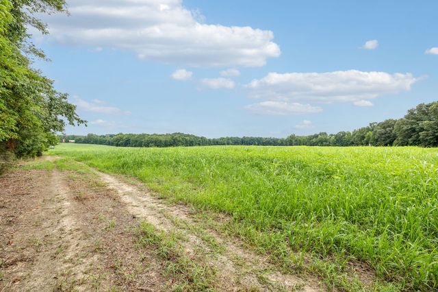 0 Walter Barnes Ln, Manchester, TN 37355