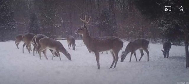 3475 Greene 731 Road, Paragould, AR 72450