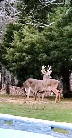 3475 Greene 731 Road, Paragould, AR 72450