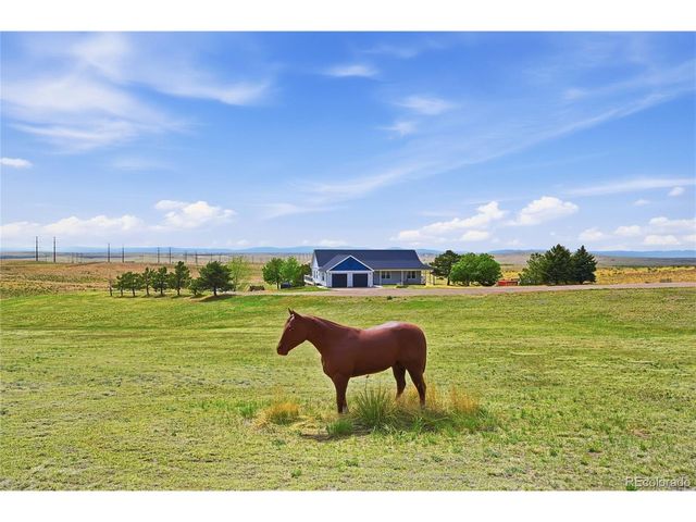 4153 S Lookout Hill St, Watkins, CO 80137